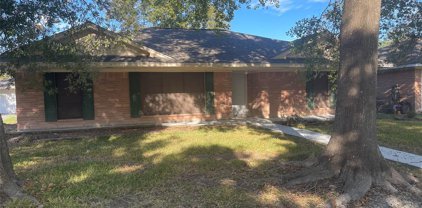 5007 Old Castle Lane, Dickinson