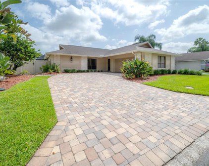 13517 Clubside Drive, Tampa