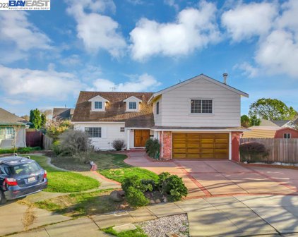 7776 Hazelnut Dr, Newark