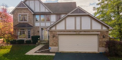 5485 Mallard Lane, Hoffman Estates