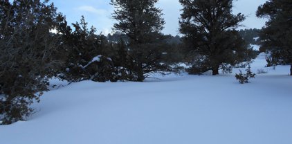 2343 Cartwright Road, Reno