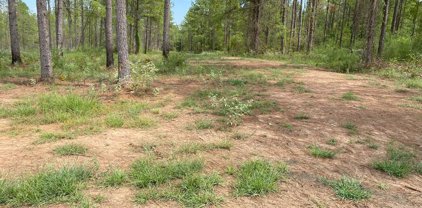 24633 Lot 25 Fm 844, Huntington