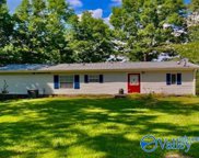 165 County Road 714, Cedar Bluff image