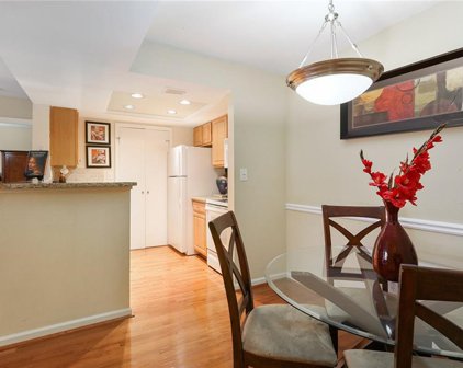 1009 Chastain Park Ne Court Unit 1009, Atlanta