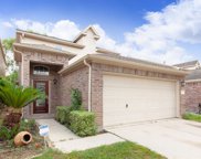 11119 Valley Kings Drive, Houston image