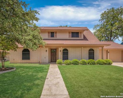 209 Gladiola Ln, San Antonio