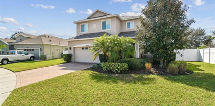 19420 Red Sky Court, Land O' Lakes