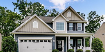 2349 Balting Glass  Drive, Indian Trail