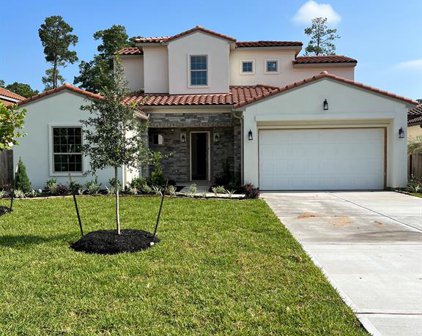 1455 Torrijos Court, Shenandoah