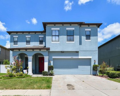 5482 Angelonia Terrace, Land O' Lakes