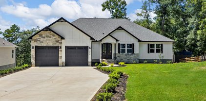 260 Skyline, Chesnee
