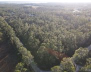 Quail Nest  Lane, New Smyrna Beach image