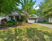 307 Fennel Dun  Circle, Biltmore Lake image