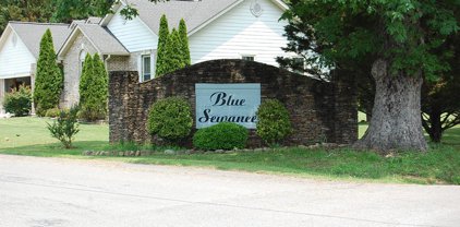3133 Blue Sewanee, Dunlap