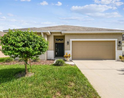 30656 Palmerston Place, Wesley Chapel