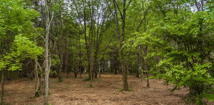 3.03 acres County Road 107, Fort Payne