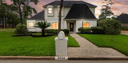 9010 Deerwick Court, Tomball