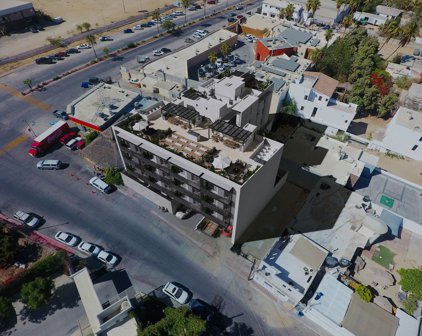 Providence, San Jose Del Cabo