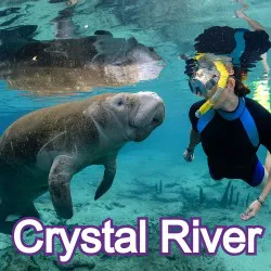 Crystal River Florida Homes for Sale