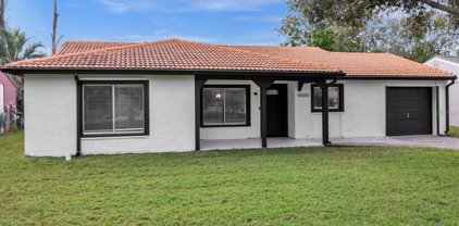 5338 Twine Street, Orlando