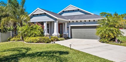 1230 Windy Bay Shoal, Tarpon Springs