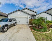 12526 Ballentrae Forest Drive, Riverview image