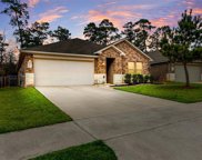 7159 St Kitts Drive, Conroe image