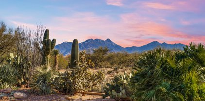 2410 E Glen Canyon, Green Valley