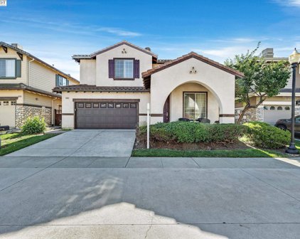 35181 Mount Whitney Ter, Fremont