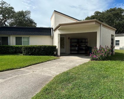 2584 Forest Run Court, Clearwater