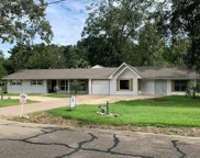 11737 Colyell Dr, Walker image