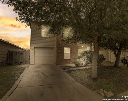 11306 Pecan Cyn, San Antonio