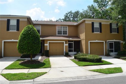 4409 Silver Falls Drive, Land O' Lakes