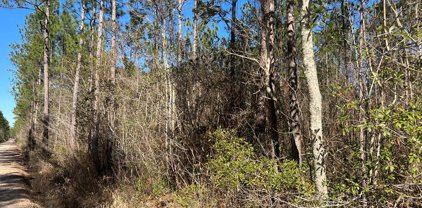 Tract 4 County-Line Road S, Jesup