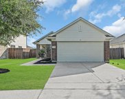 10935 Crosby Field Lane, Houston image