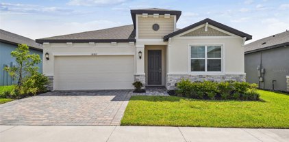 34382 Evergreen Hill Court, Wesley Chapel