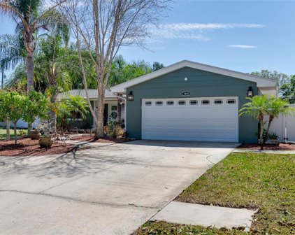 1465 Satsuma Street, Clearwater