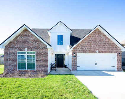 368 Wingfield Dr, Clarksville