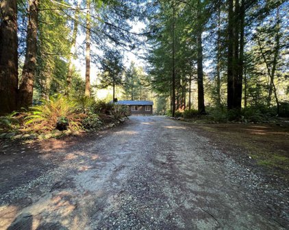 411 Tan Oak, Crescent City