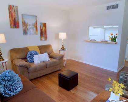 8401 N New Braunfels Ave Unit 320, San Antonio