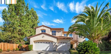 1896 Mount Conness Way, Antioch