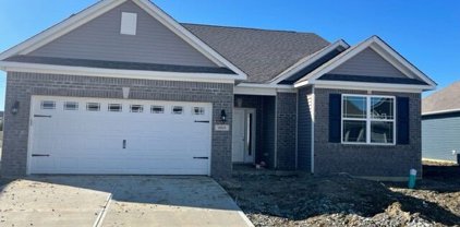 6869 Cardiff Drive, Mccordsville