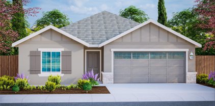 1233 Swallowtail Drive, Roseville