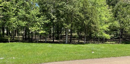 Green Trace Cove, Ridgeland