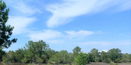 1 Scott Island Court, Johns Island