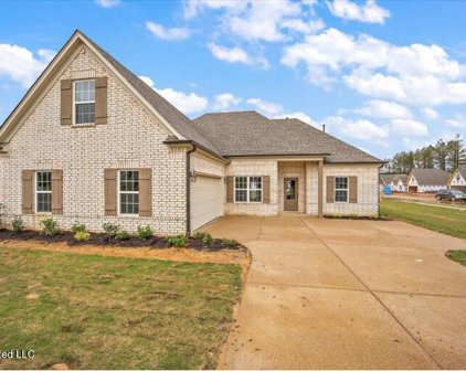 8673 Hayes Drive, Southaven