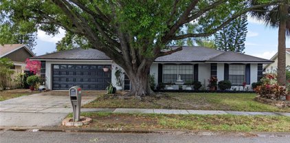 12110 Caper Street, Orlando