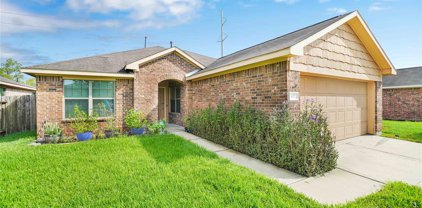 401 De Coster Boulevard, Alvin