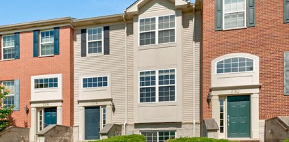 708 Thornbury Road Unit #112-5, Bartlett