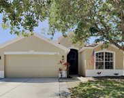 8019 Moccasin Trail Drive, Riverview image